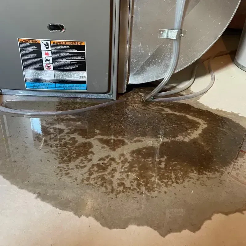 Appliance Leak Cleanup in Troy, OH